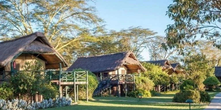 Kenya safari wildlife scene
