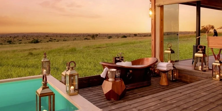 Kenya safari wildlife scene