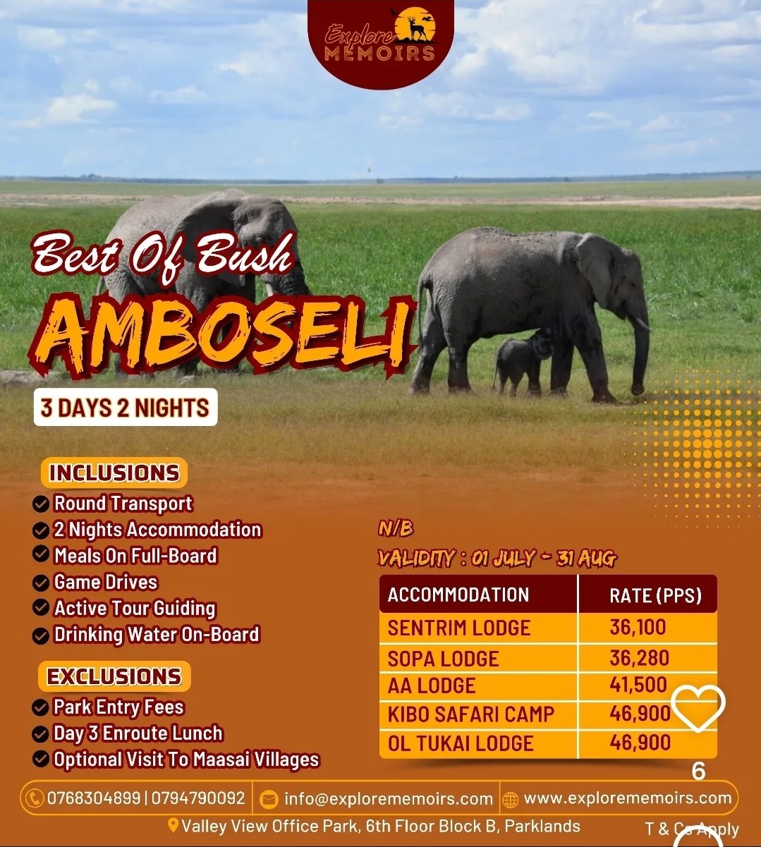Amboseli flyer