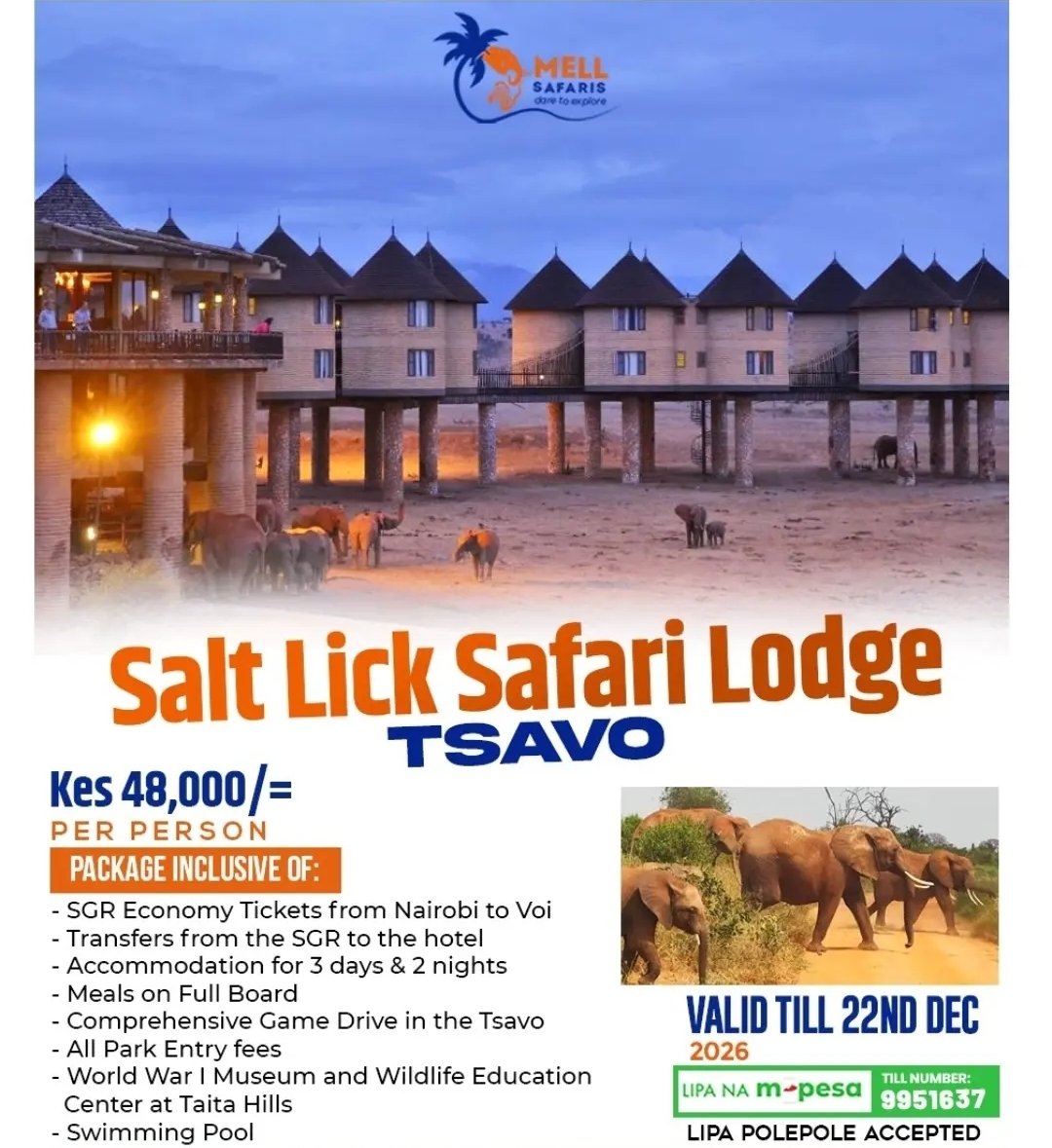 Saltlick flyer