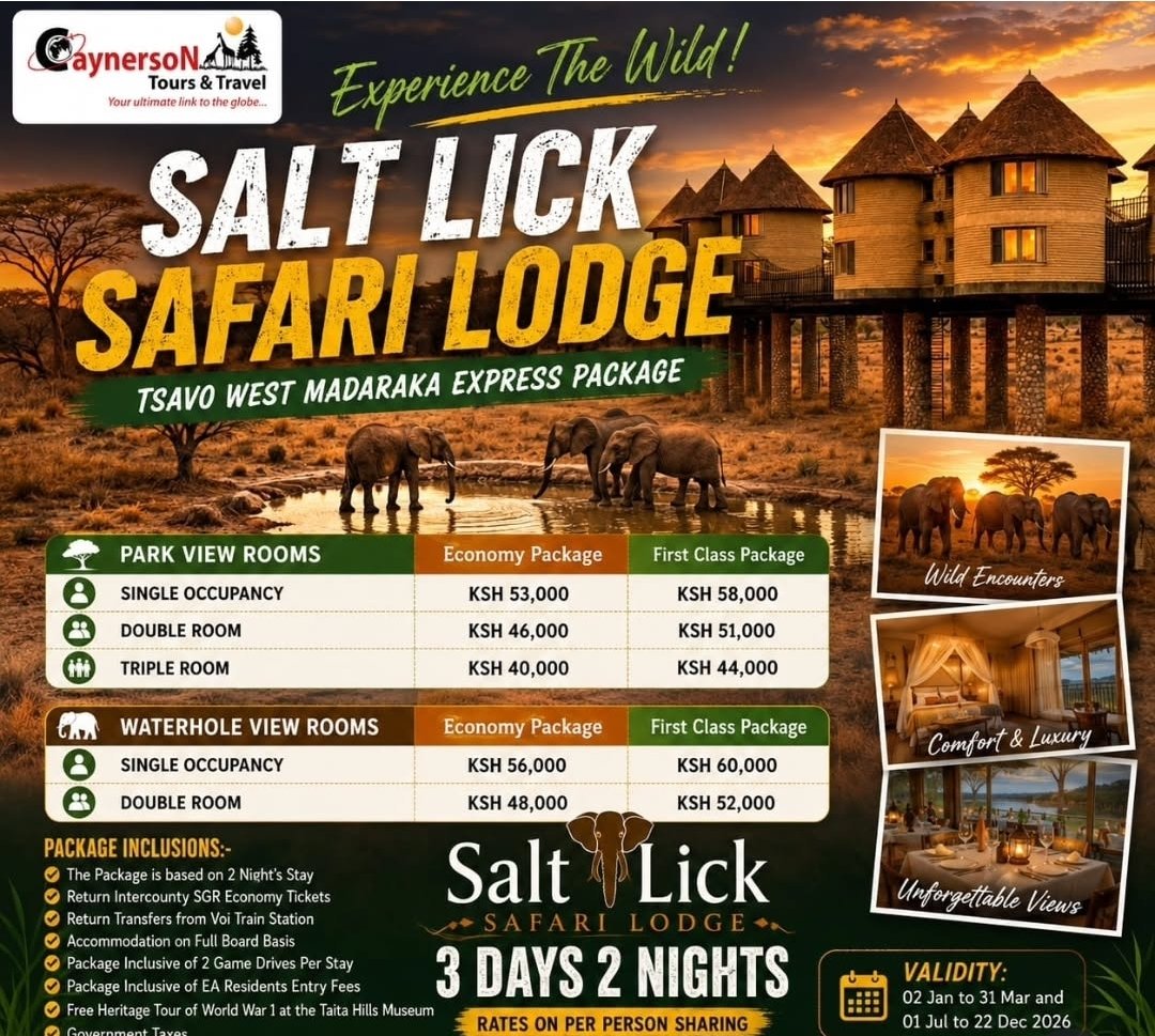 Saltlick flyer