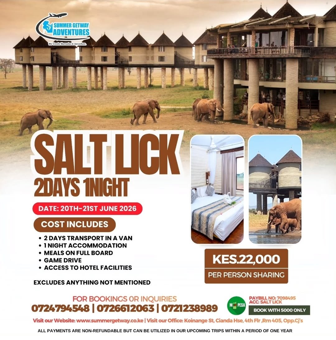 Saltlick flyer