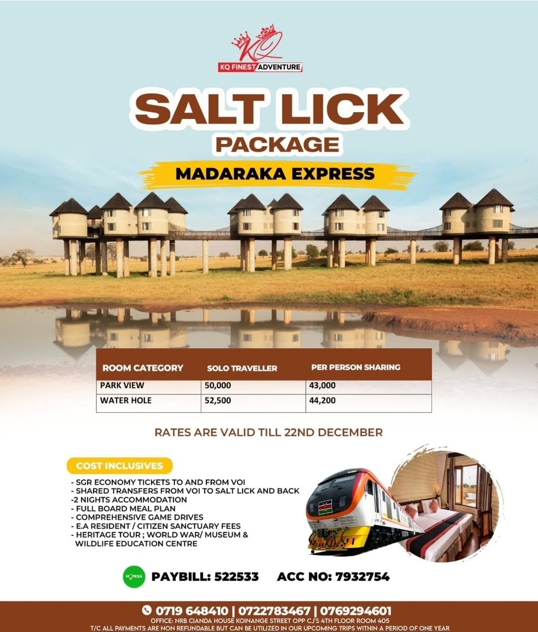 Saltlick flyer