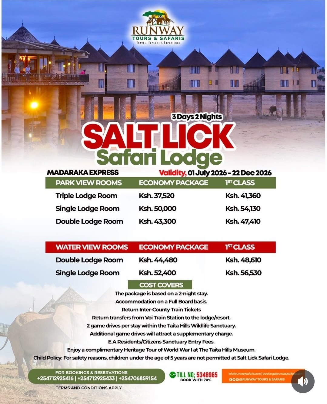 Saltlick flyer