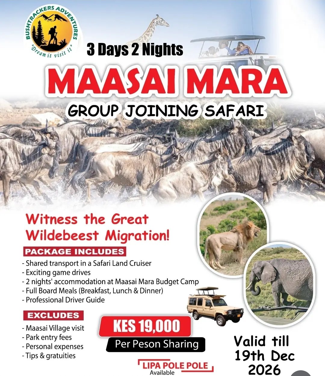 Masaai Mara flyer