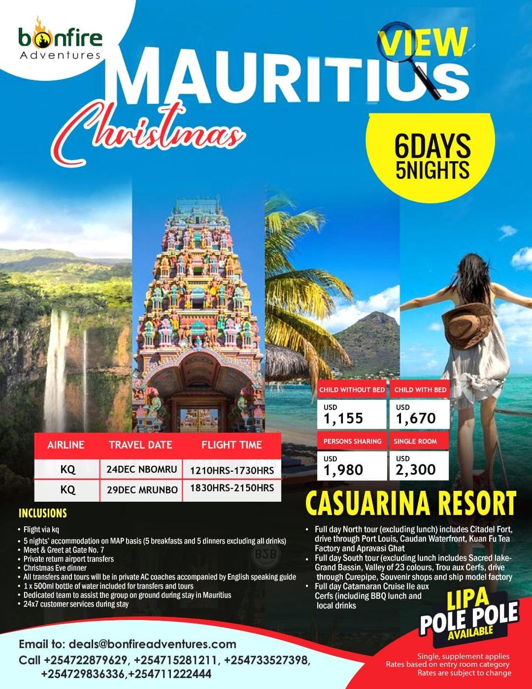 Seasonal holiday flyer