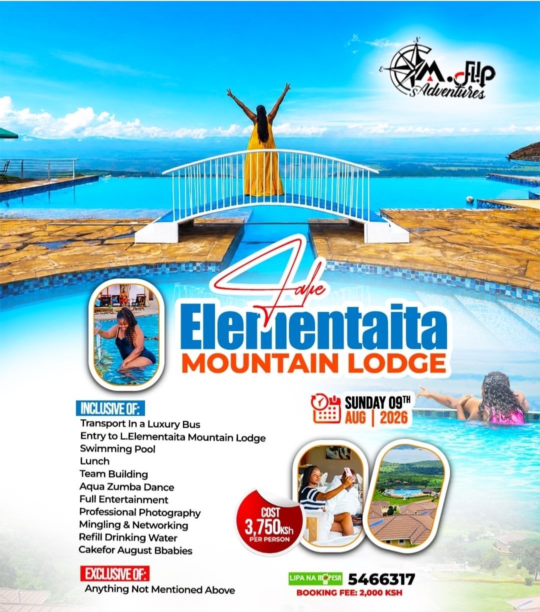 Elementaita flyer