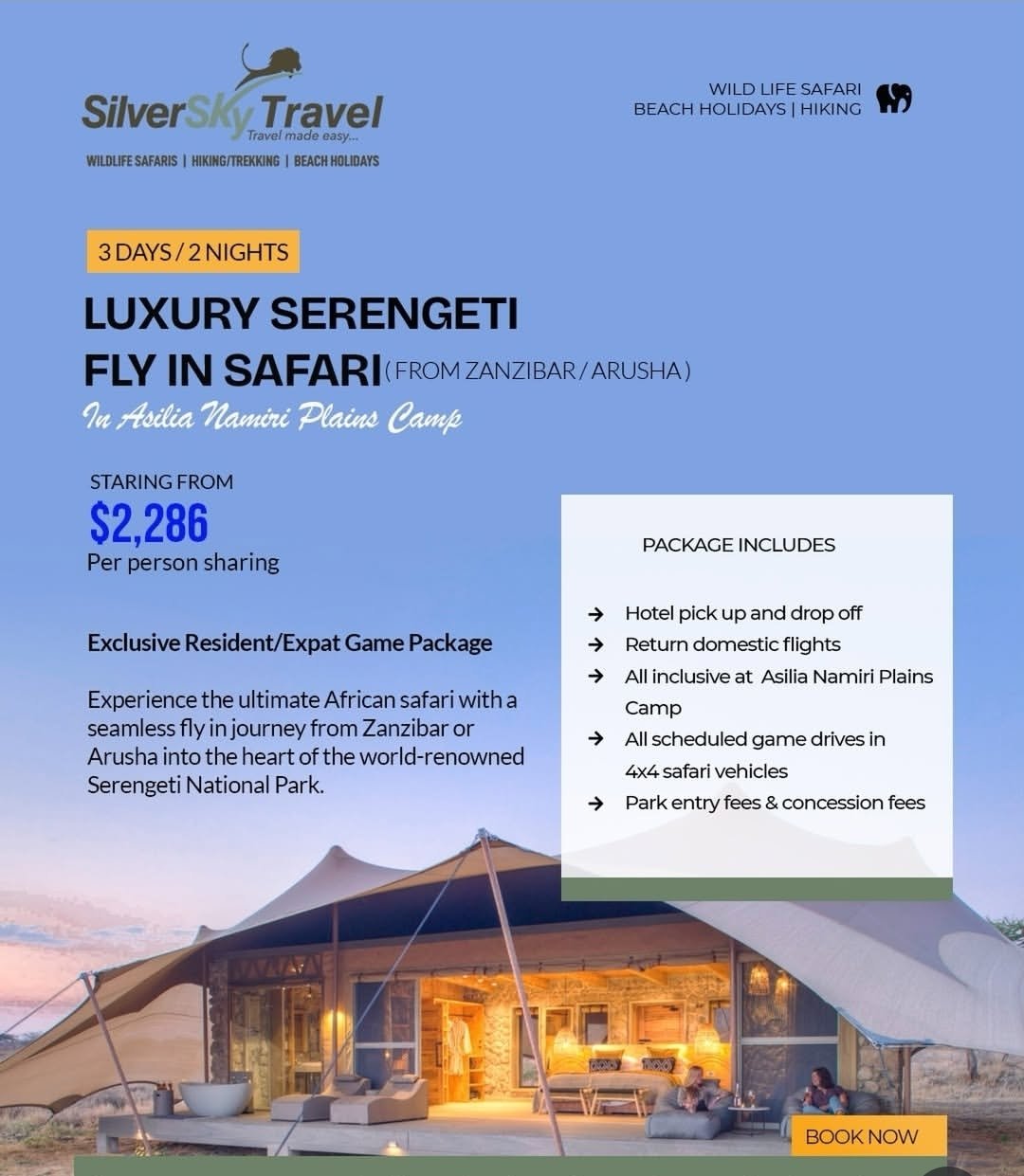 Silver sky travel flyer