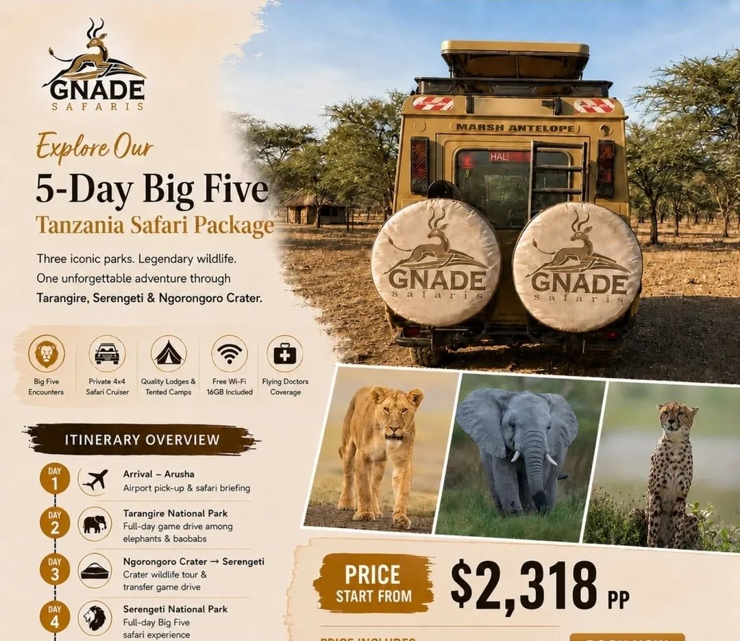 Tanzania flyer