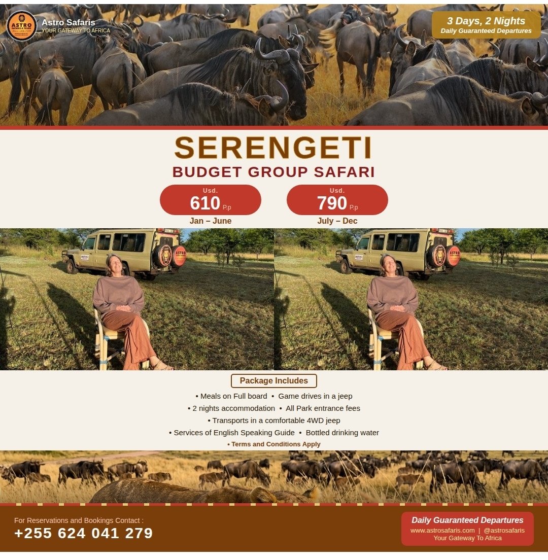 Tanzania flyer