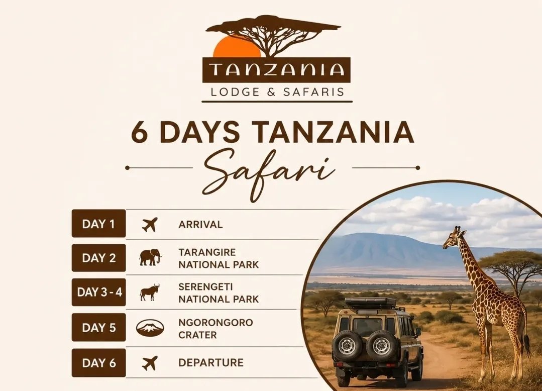 Tanzania flyer