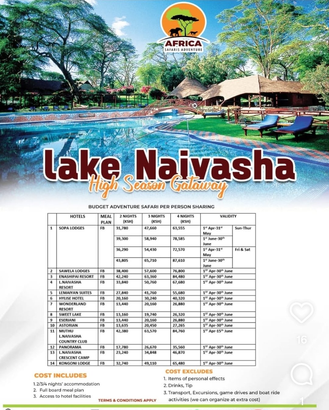 Africa safari flyer