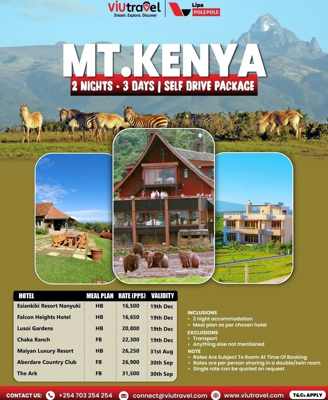 Viu travel flyer