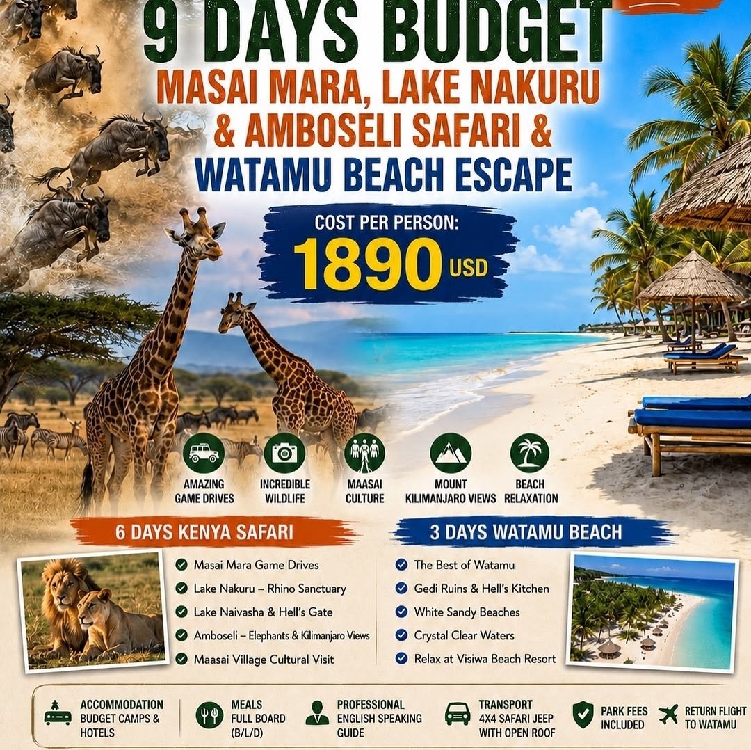 Safari flyer