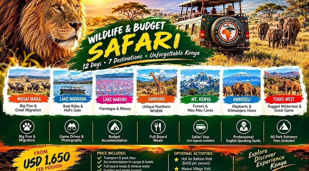 Beicompare flyer