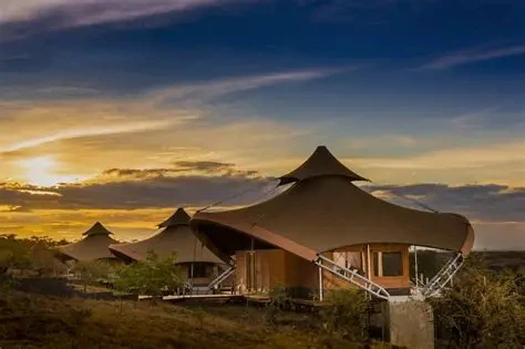 Luxury safari lodge exterior with curved roof and premium architecture