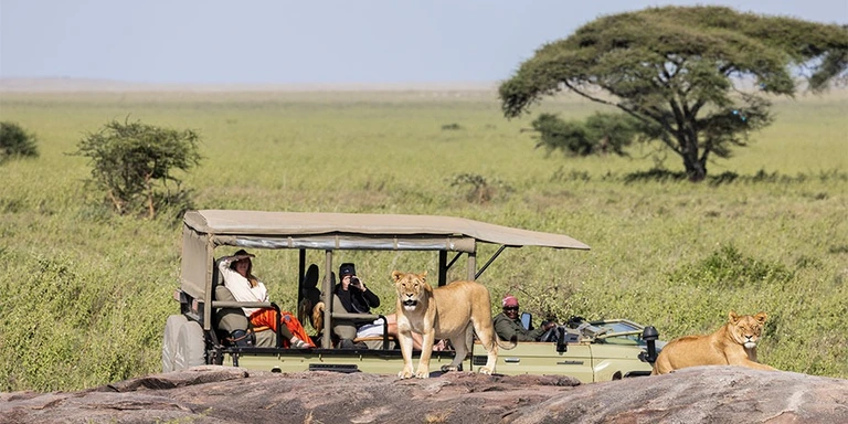Hot air balloons over the Serengeti
